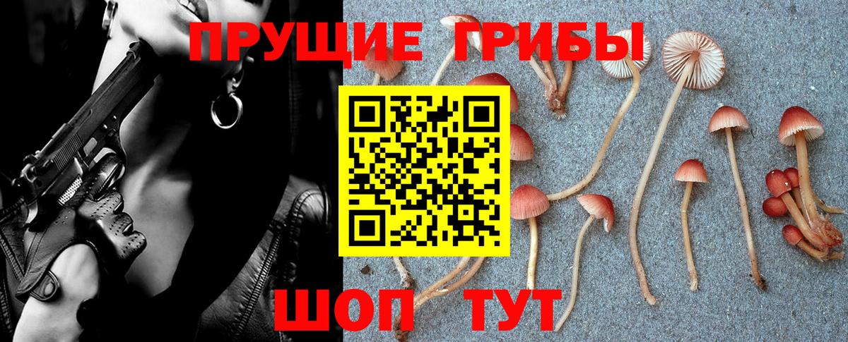Галлюциногенные грибы MAGIC MUSHROOMS Киров