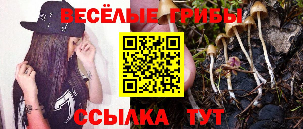 закладка  Вход с VPN  Псилоцибиновые грибы MAGIC MUSHROOMS  Киров  Псилоцибиновые грибы MAGIC MUSHROOMS 